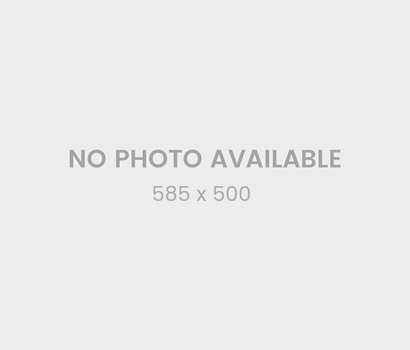 noimg_585x500
